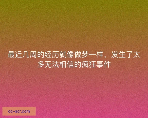 最近几周的经历就像做梦一样，发生了太多无法相信的疯狂事件