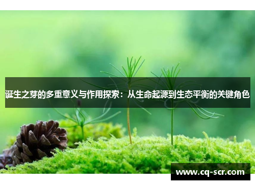诞生之芽的多重意义与作用探索：从生命起源到生态平衡的关键角色