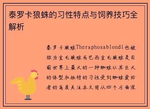 泰罗卡狼蛛的习性特点与饲养技巧全解析